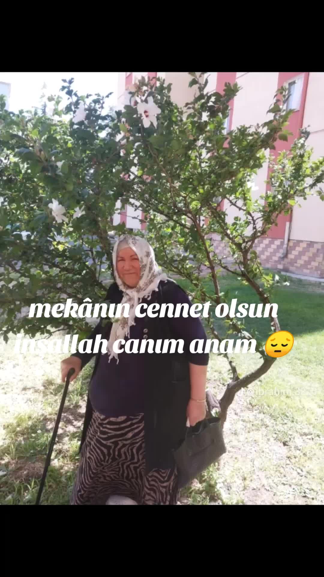 @38i20ibrahim