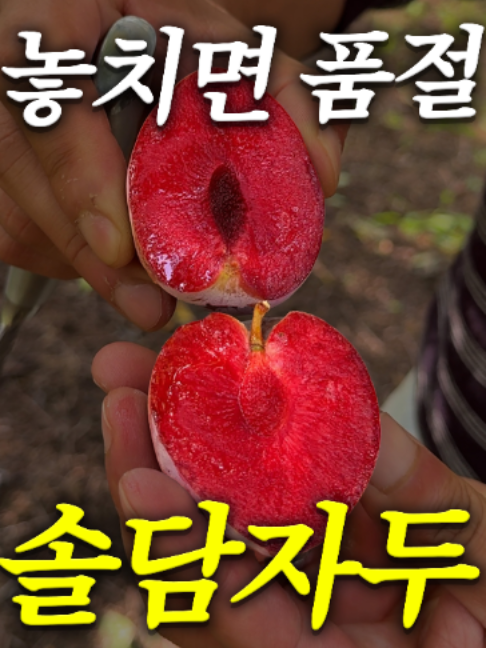 @해운대송사장