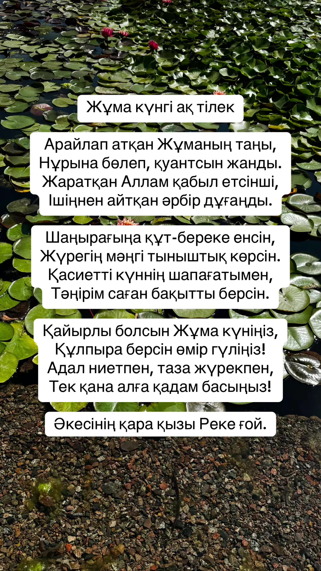 @Р.И.М