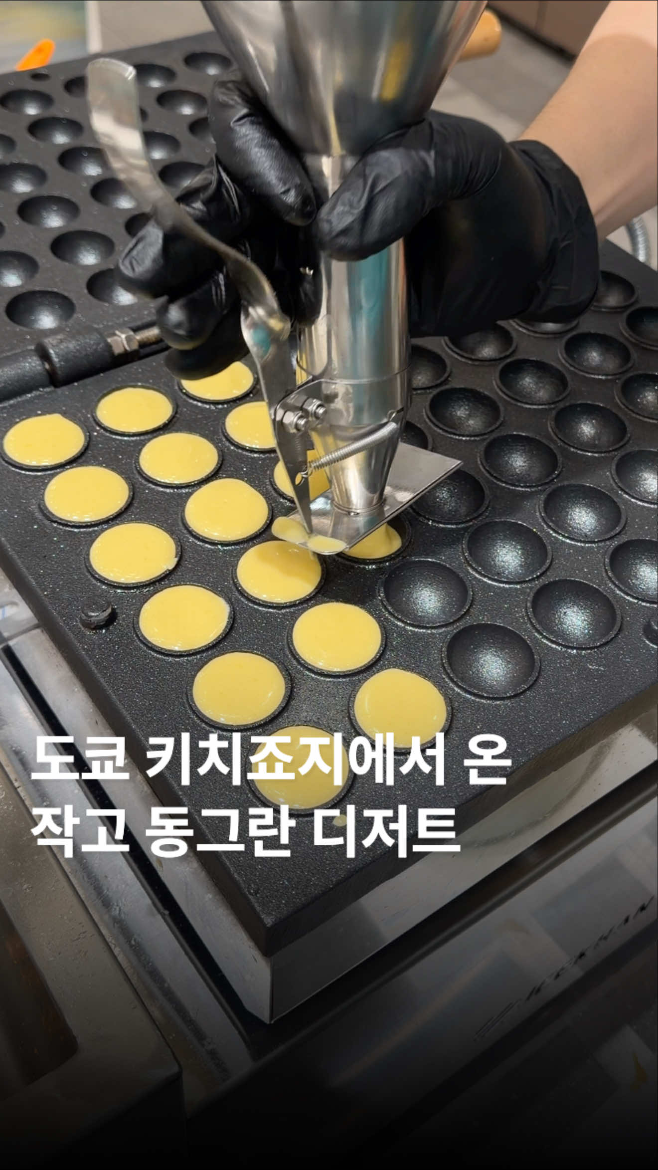 @๋ฌธ๋ฌ