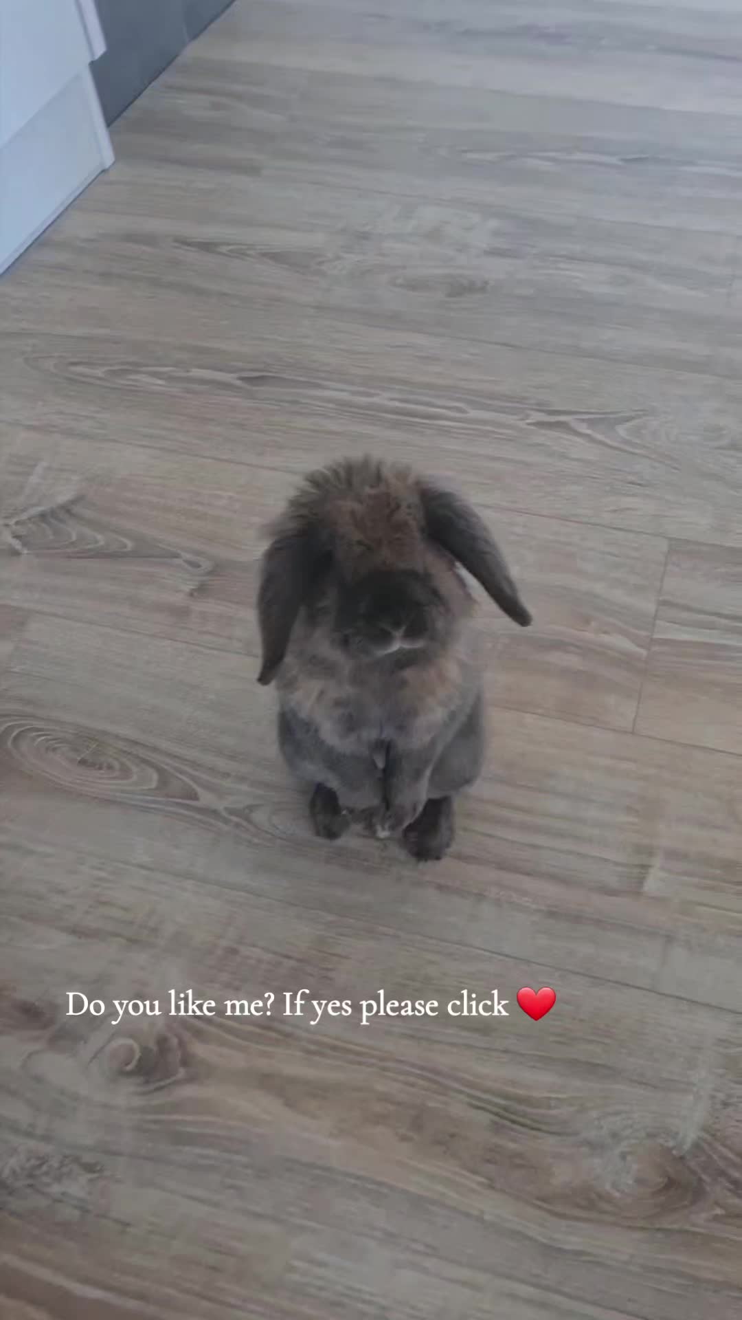 @Karolina