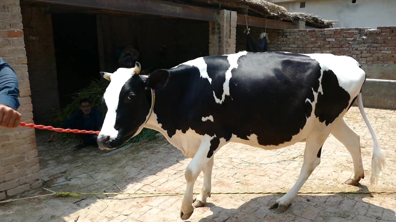 @Farming and Business Ideas