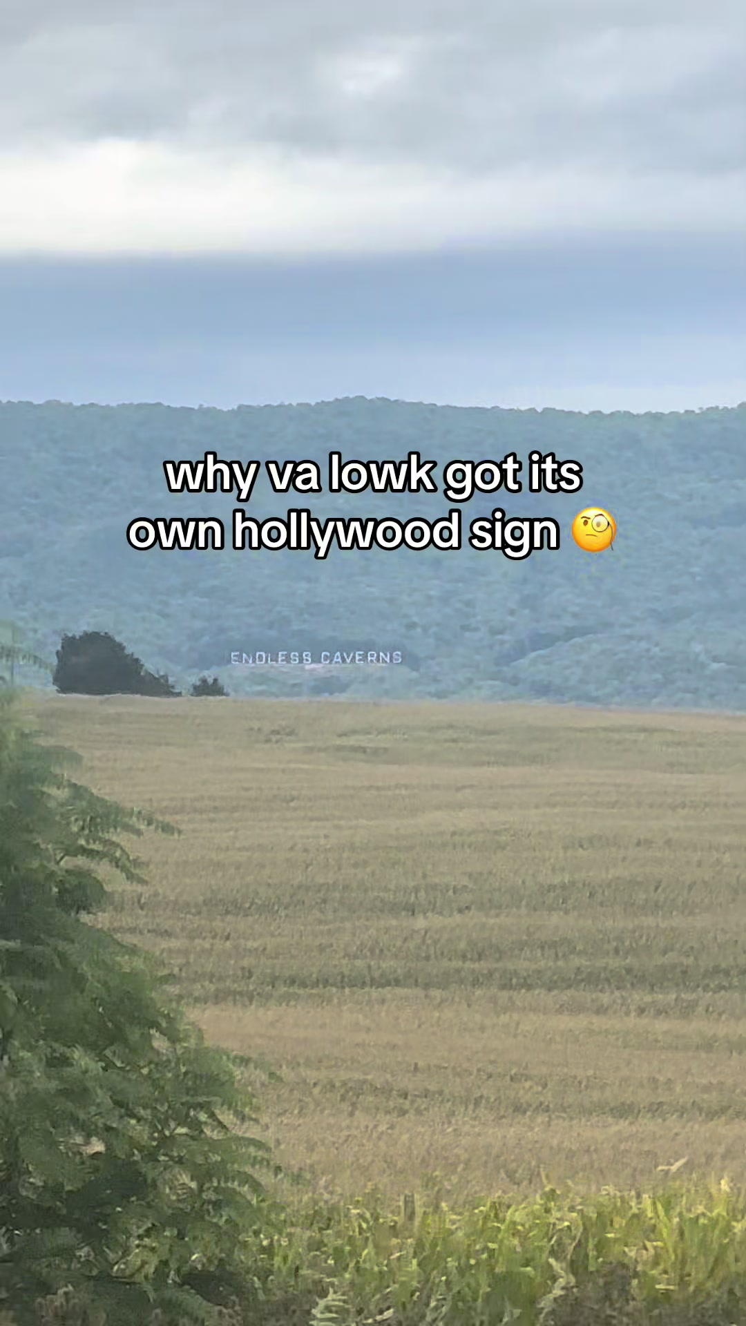 @mikey
