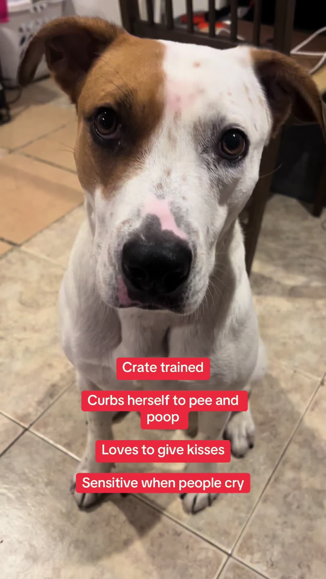 @maggieandmartha