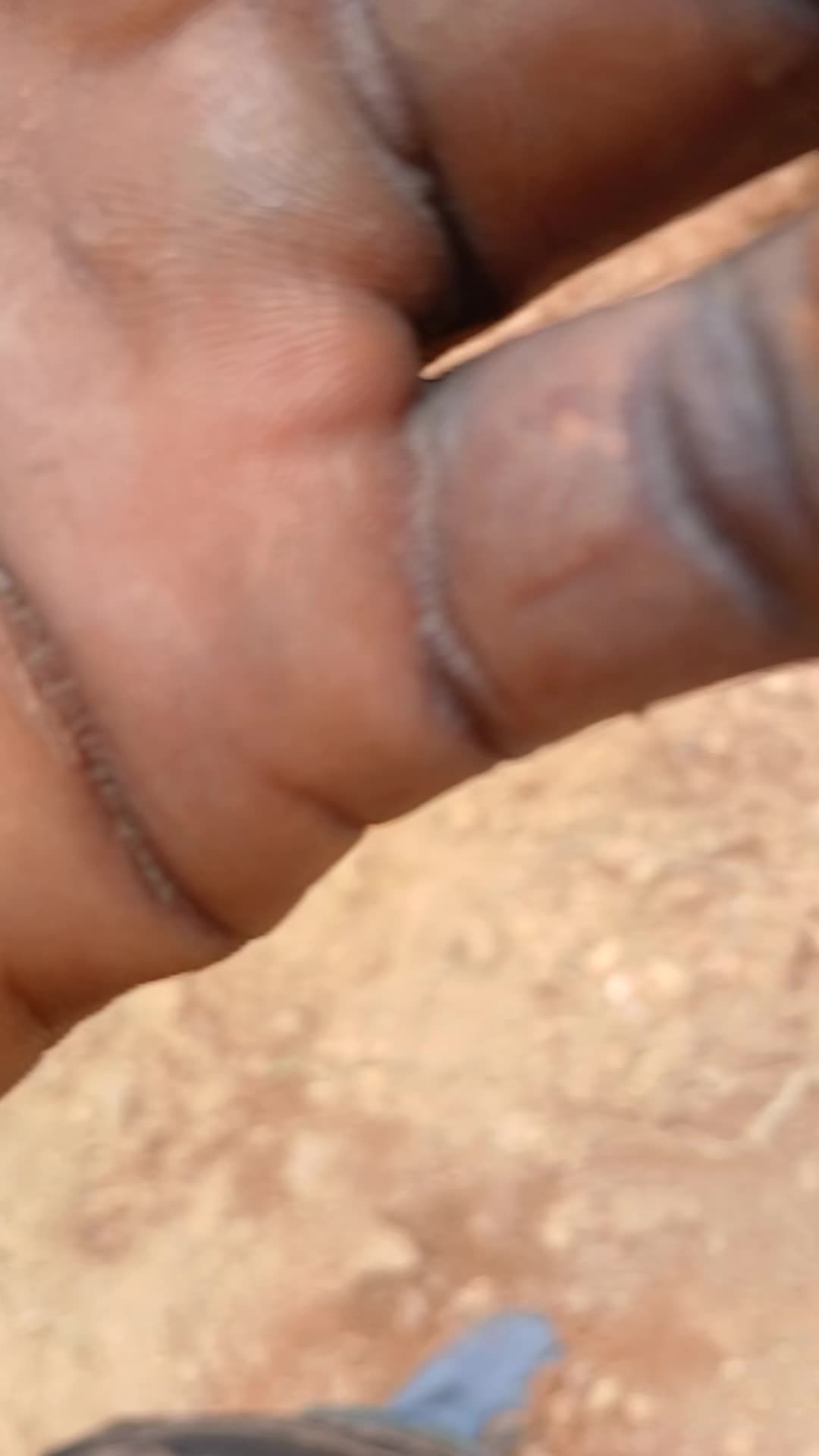 @yhawsurvivor