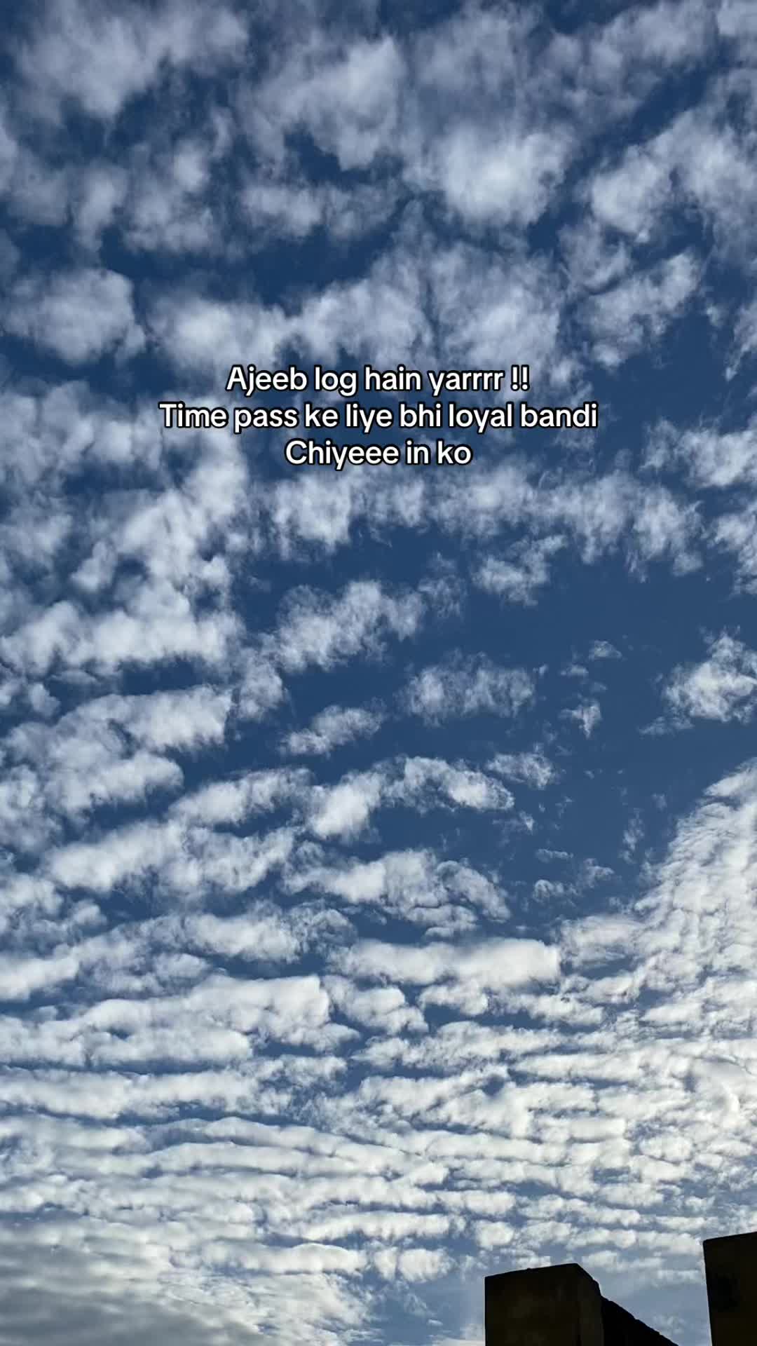@🚩