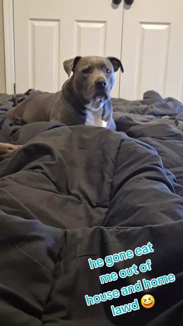 @DeeBestMom