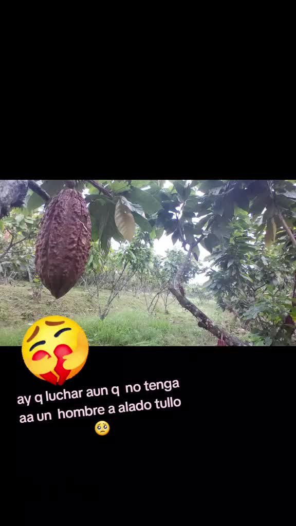 @🧀 La Quesito❤️&zwj;🩹