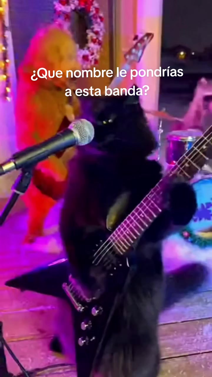 @Metal Memes Mx