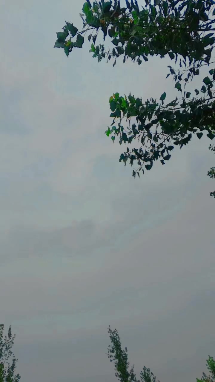 @ارباب🦅