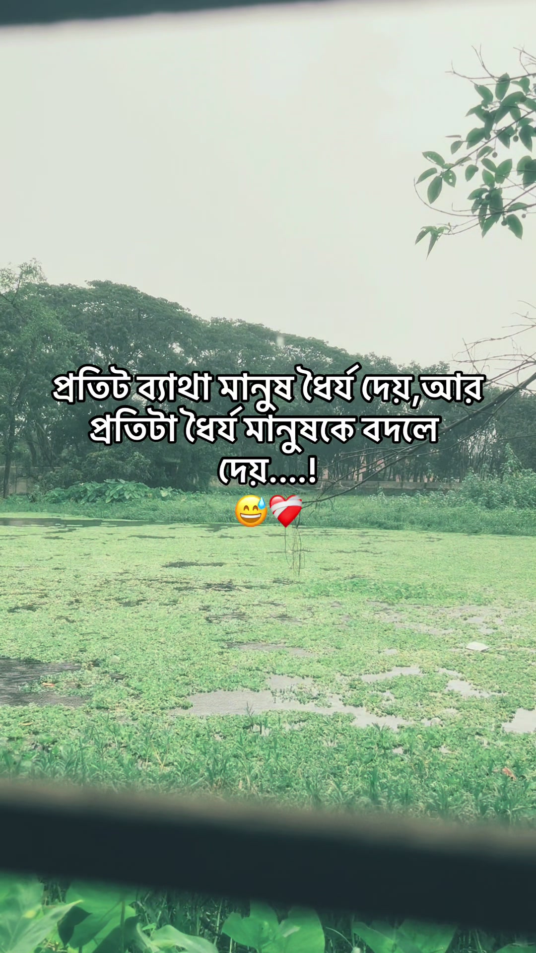 @WHO&bull;?🫧