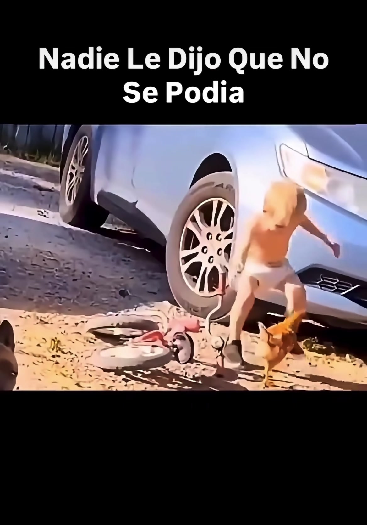 @Patricia Arronal