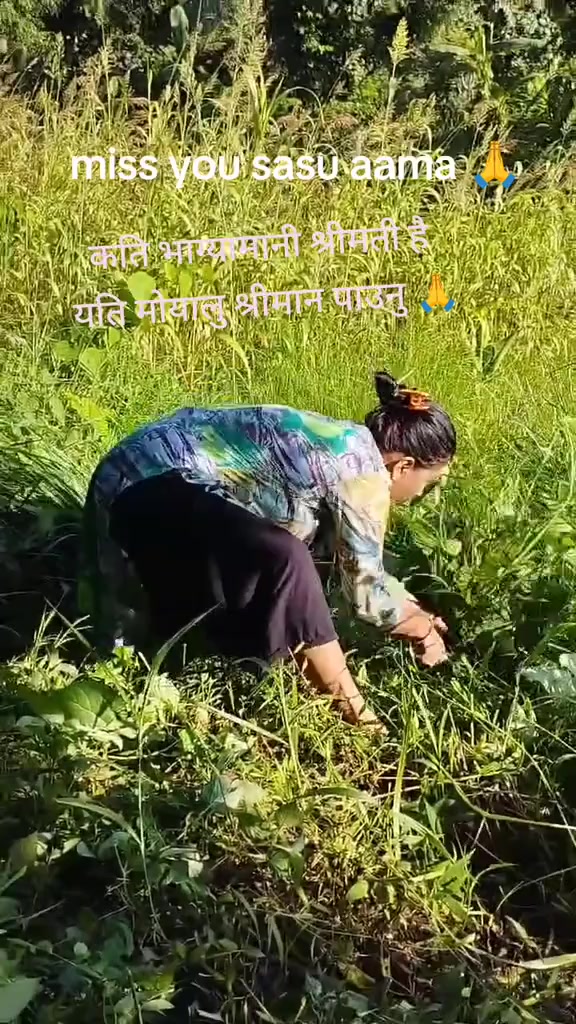 @bishnu
