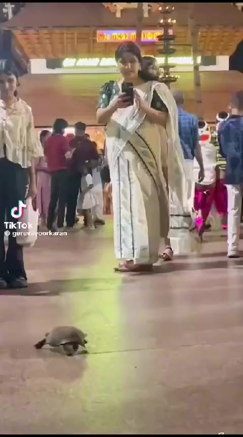 @jayaprakash