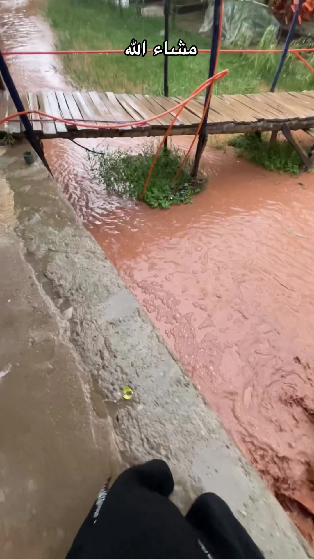 @عًيّــّوُنہ_ ألـمہزيّــّوُنہه