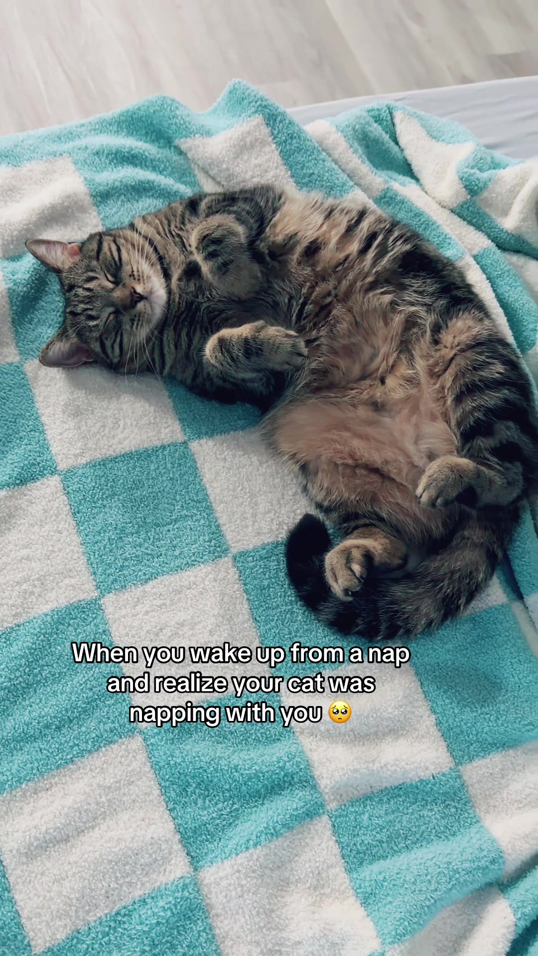 @Tabitha and Wesley