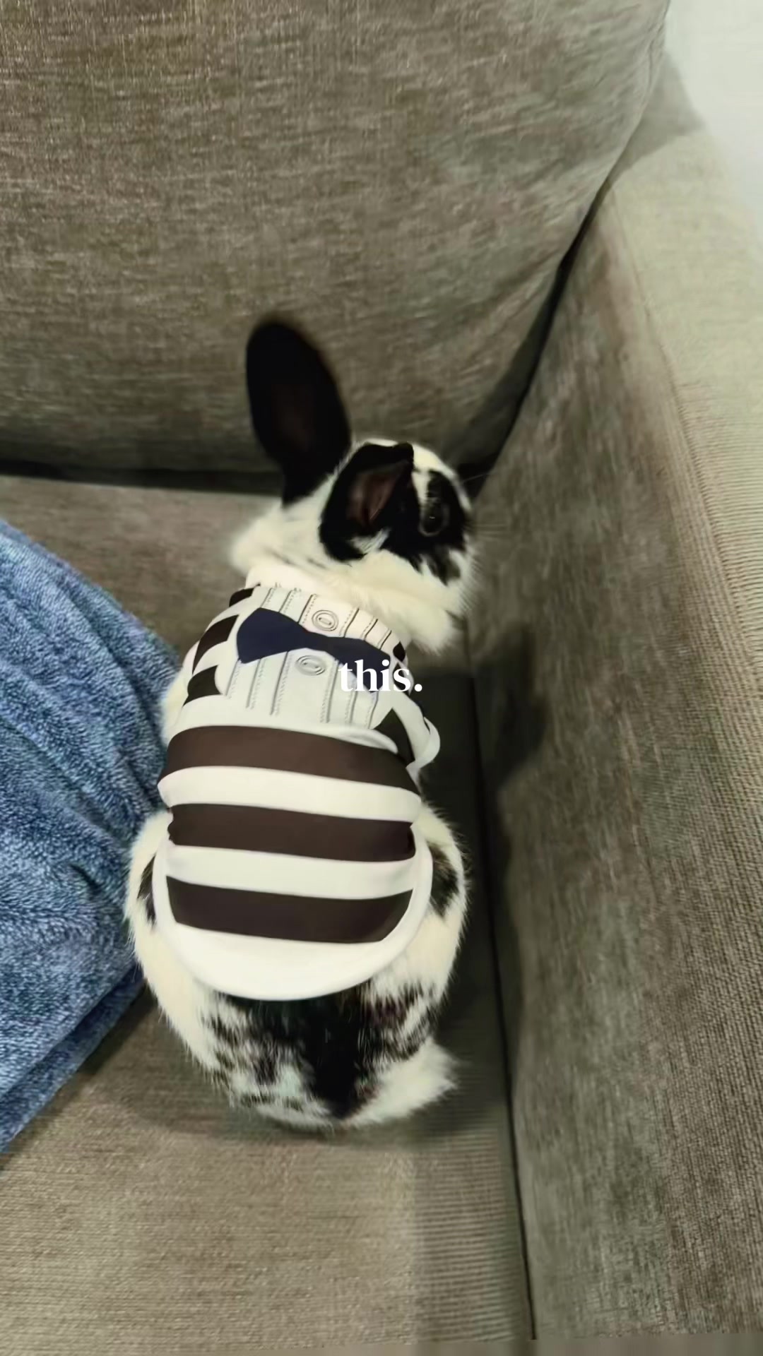@bunsandhustles