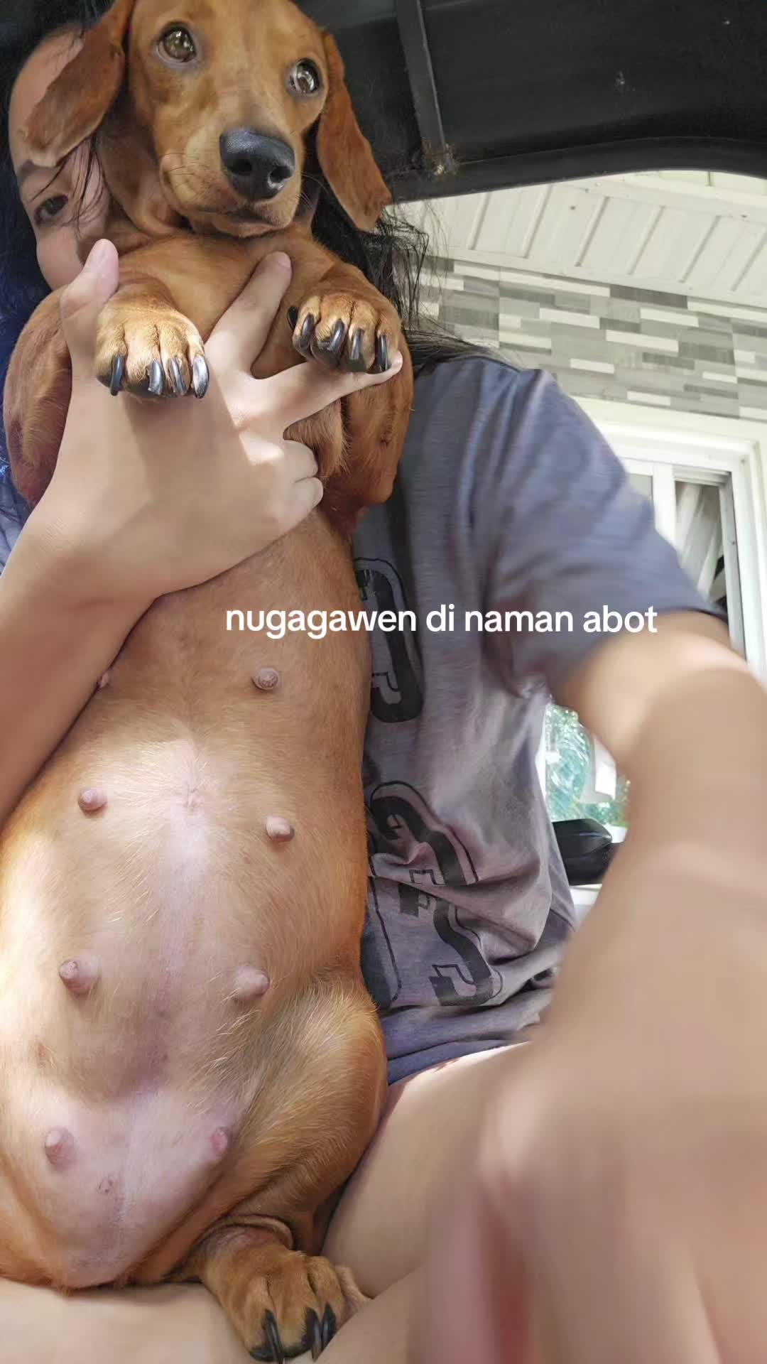 @avocado