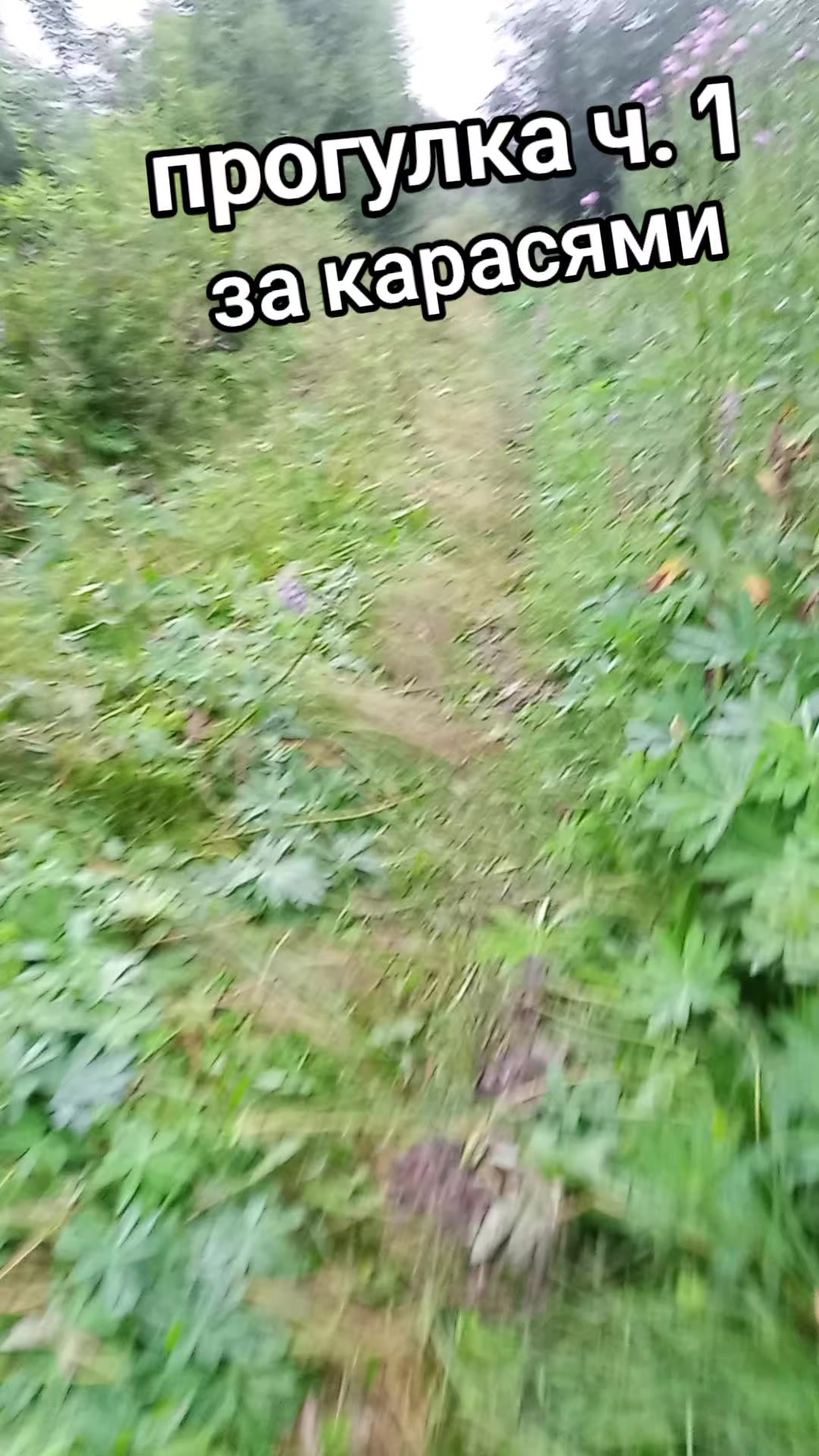 @Александр
