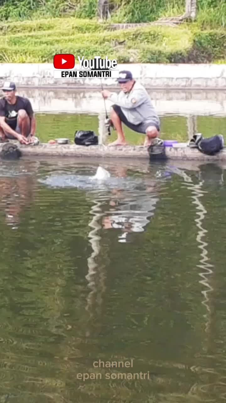 @ipan mancing channel
