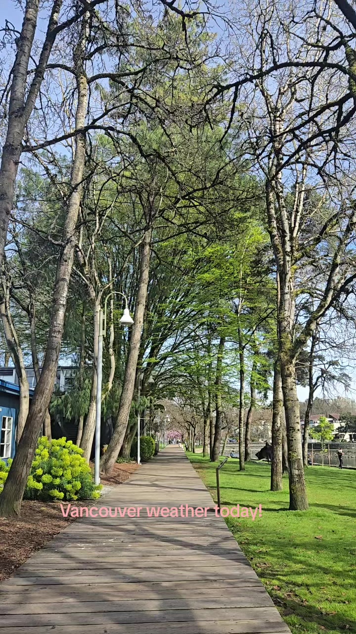 @Laren