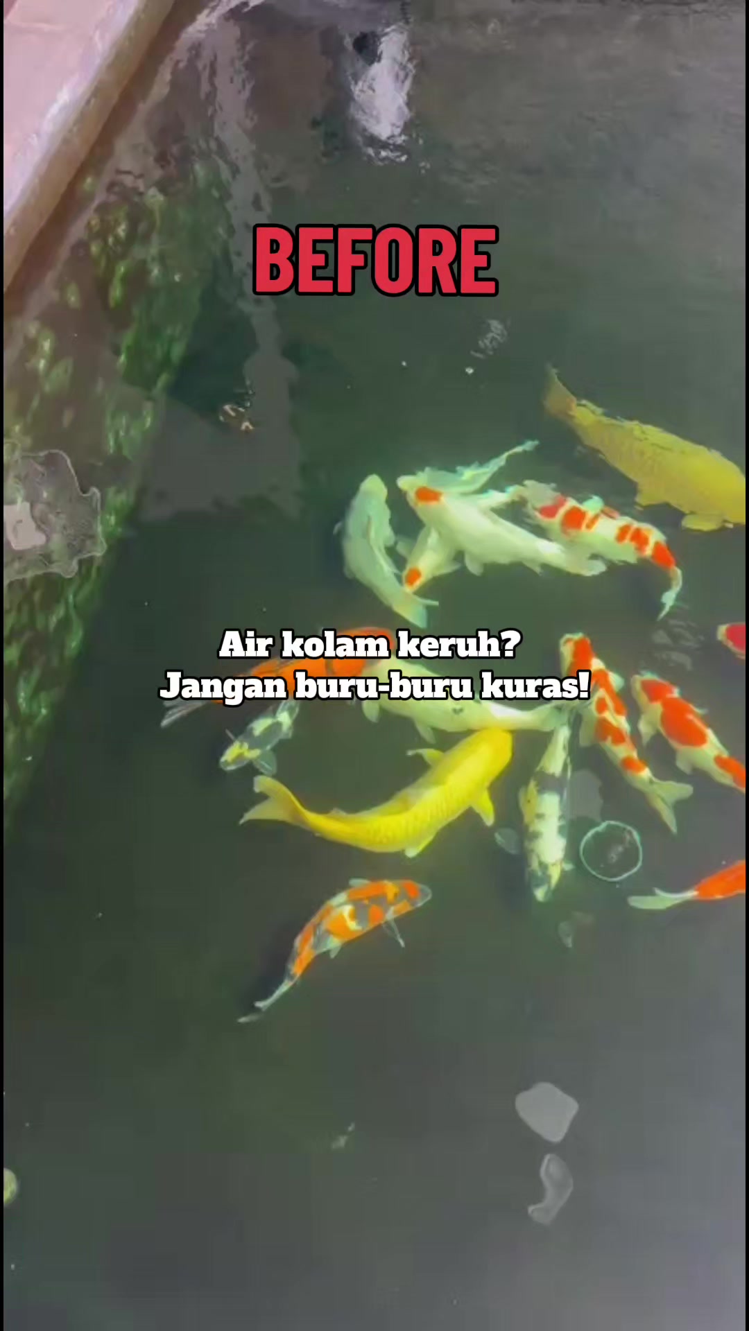 @Eka Einstein