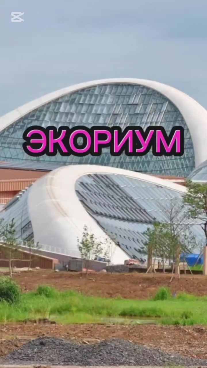 @😎PAPA V KOREE😎