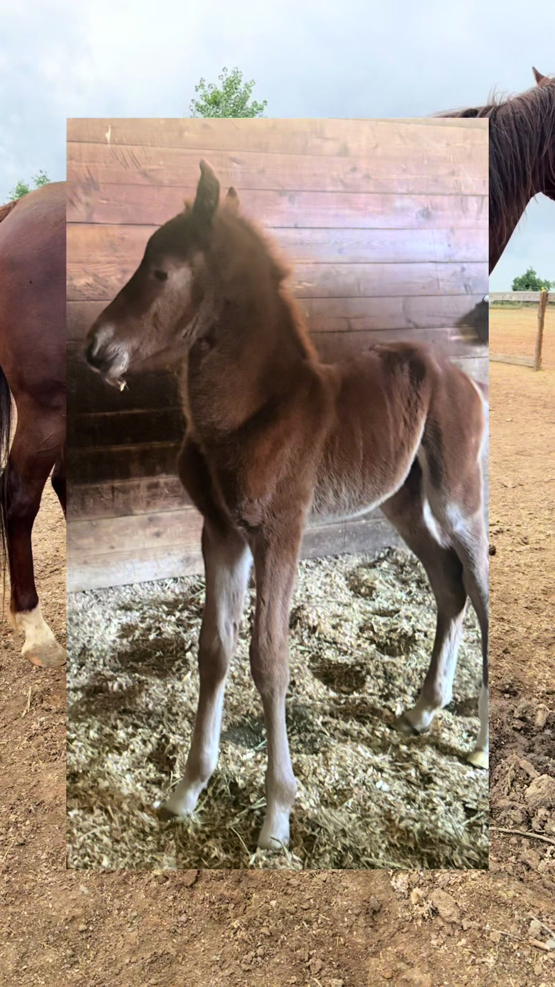 @BoeRanch14