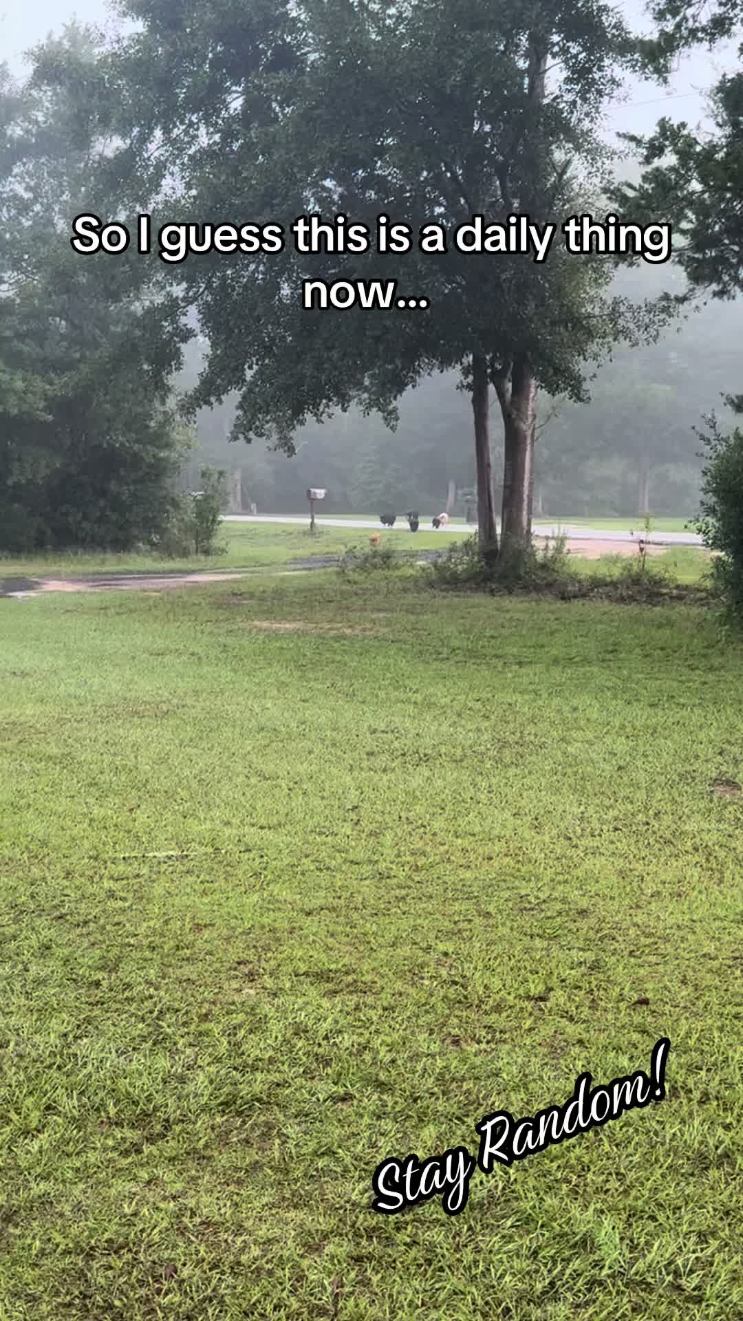 @EZtoombs3
