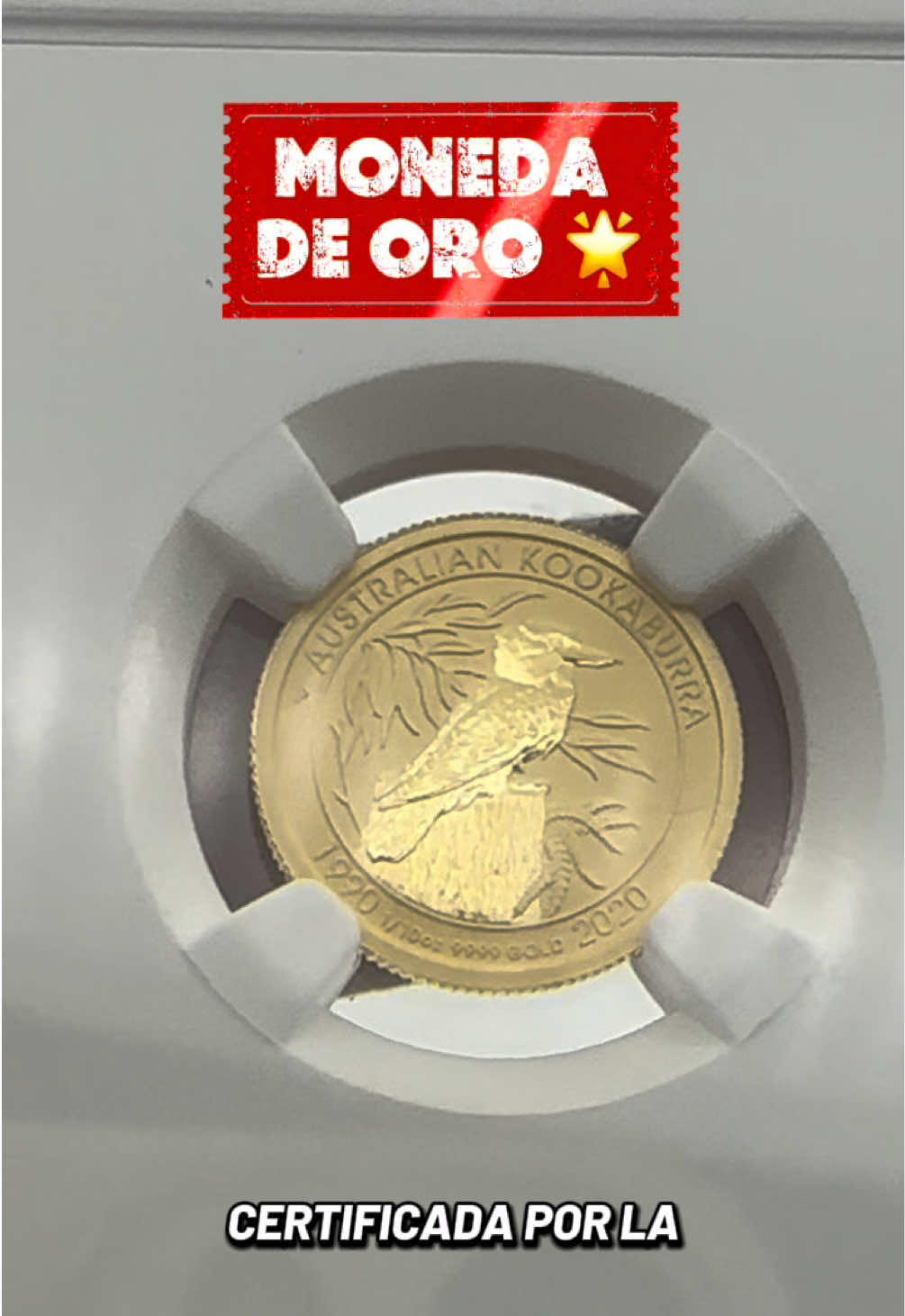 @Numismática Ambato 🪙💵📚