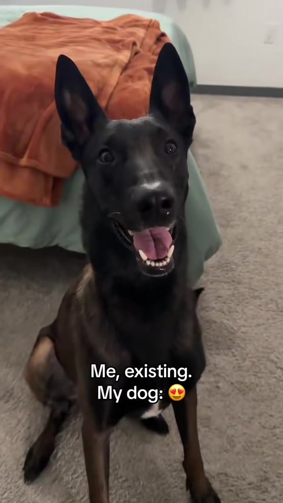 @Andie and Magnus