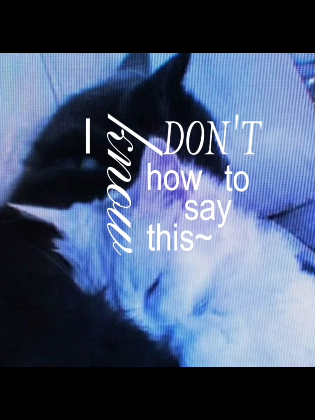 @☆𝓯𝓻𝓮𝓪𝓴𝔂☆