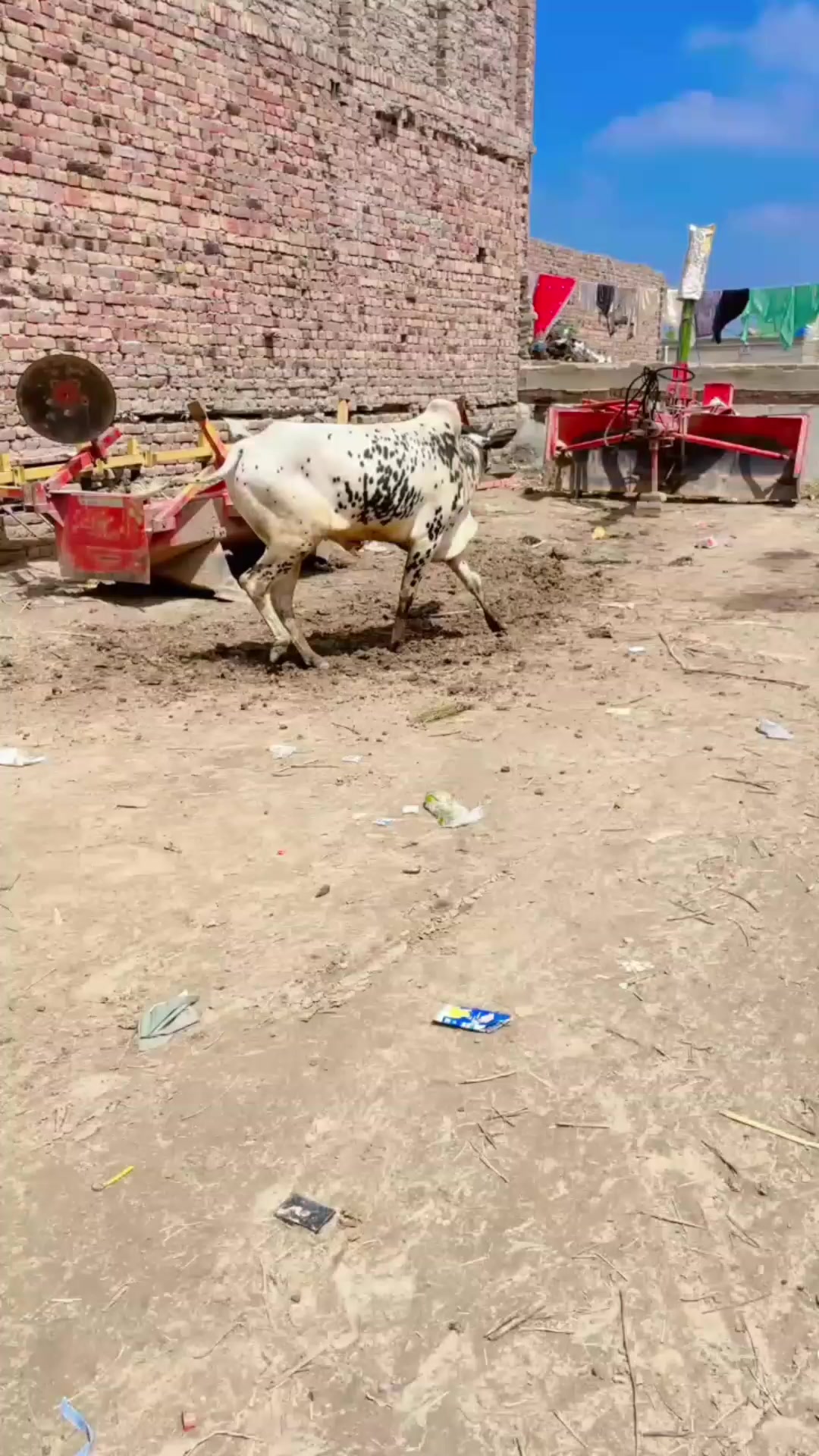 @Haroon jutt