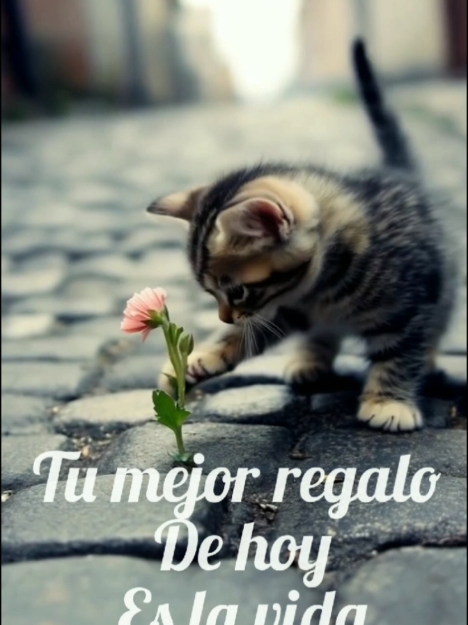 @motivaci&oacute;n