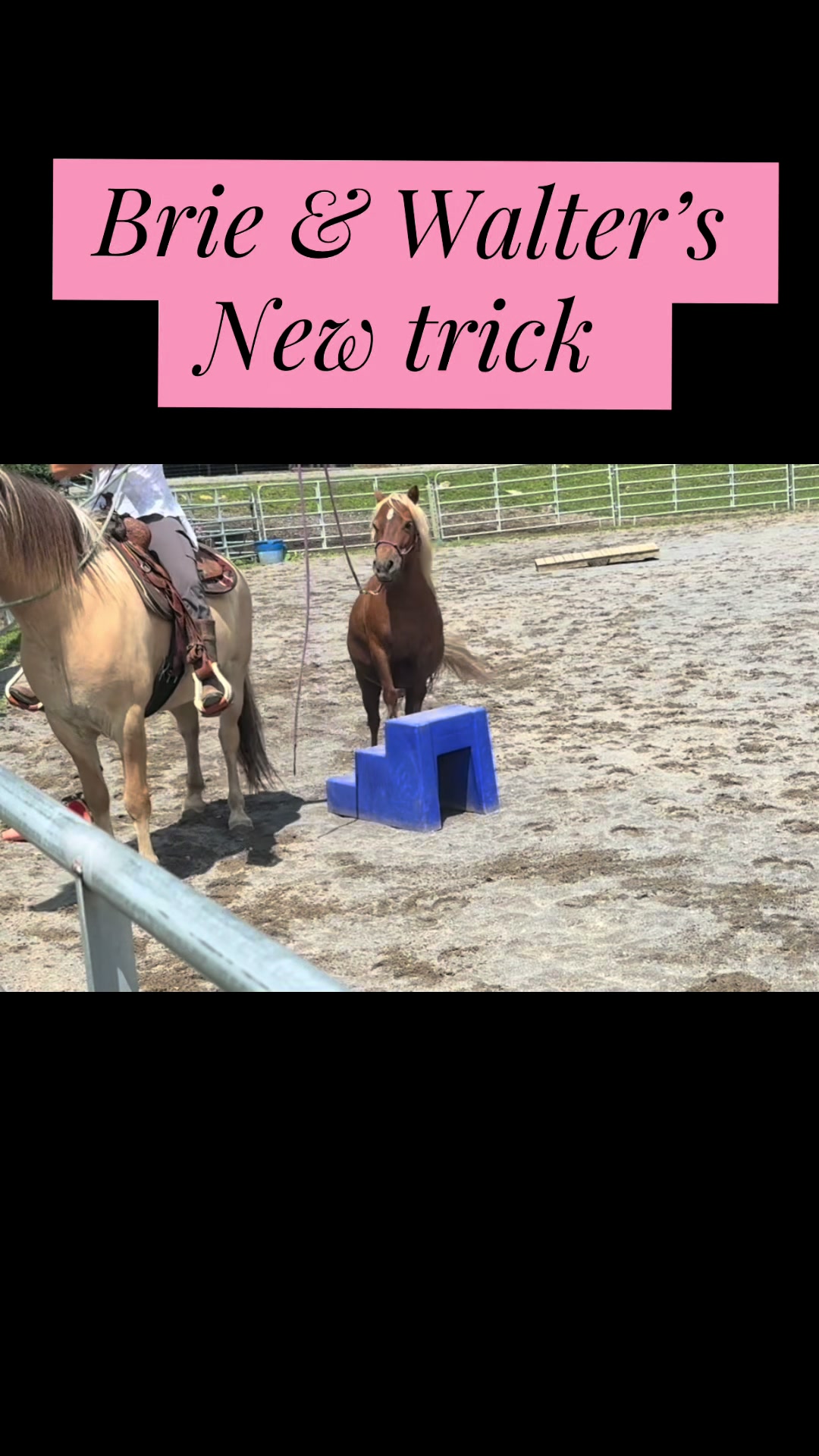 @Janet..Fuzzy.farm.gang