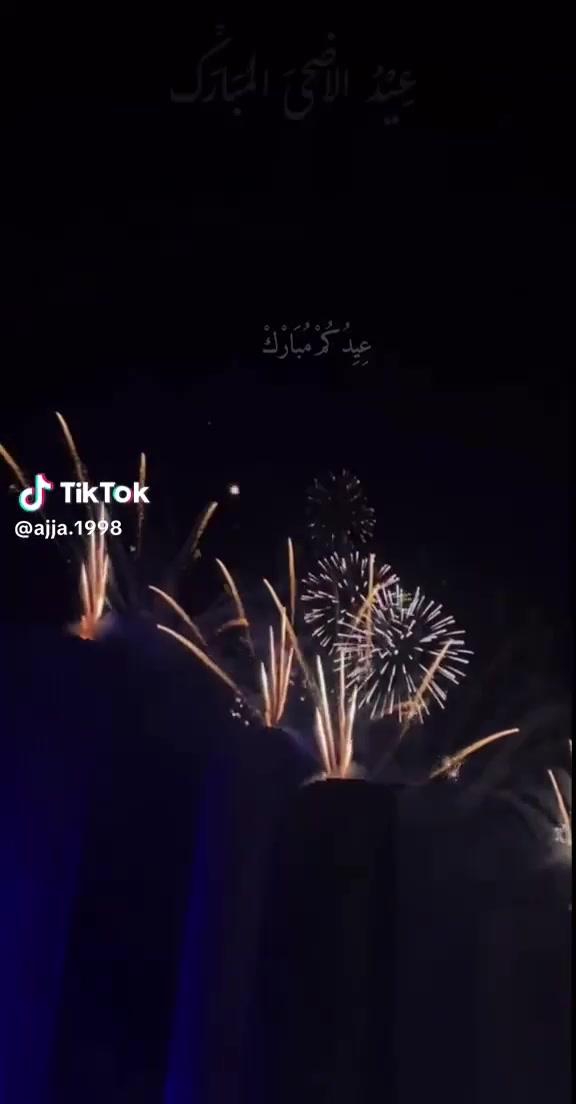 @zainaabb