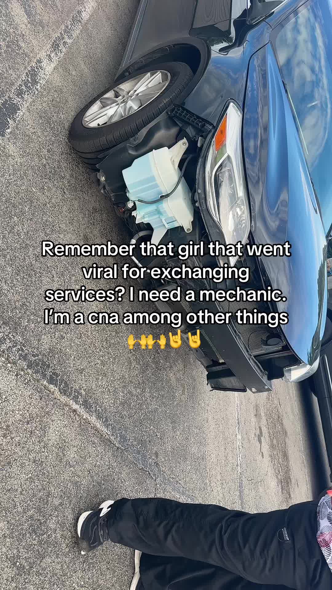 @maymay