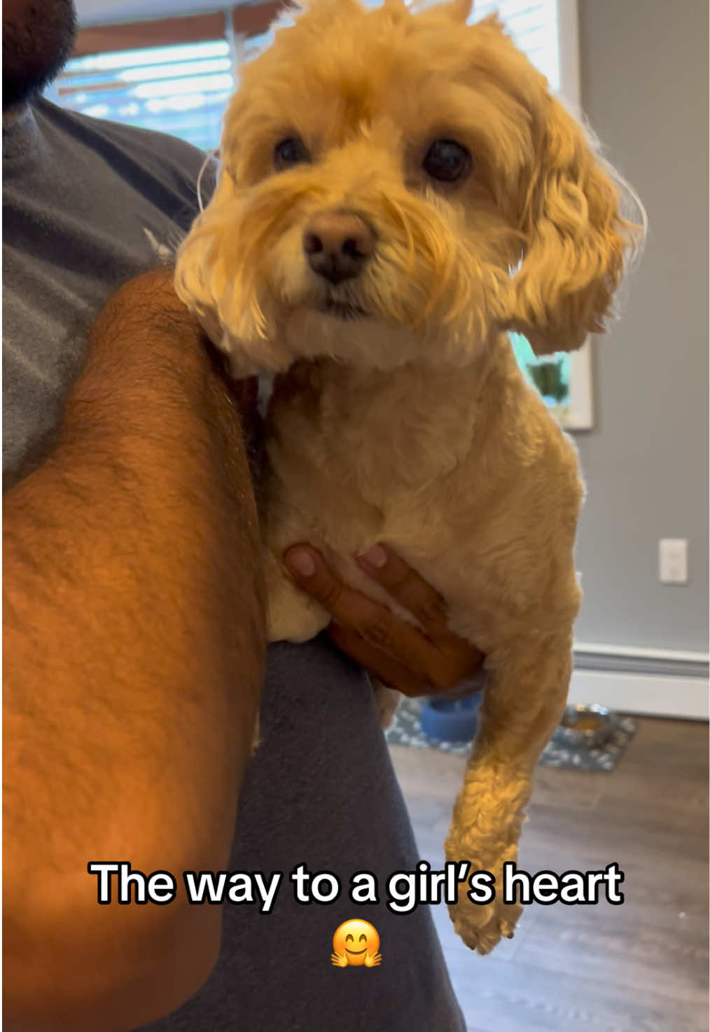 @ChloeCaboodleDoodle