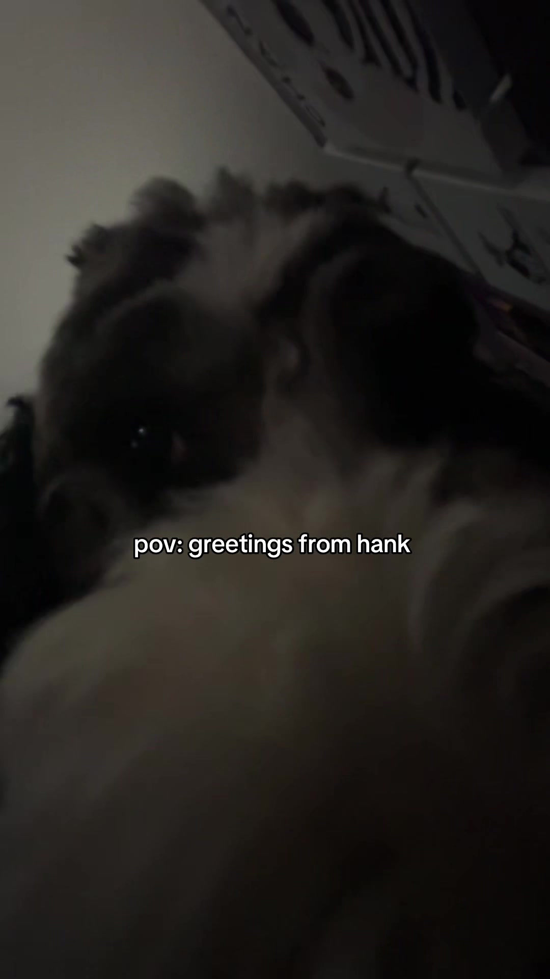@caroline✭.⋆⟢
