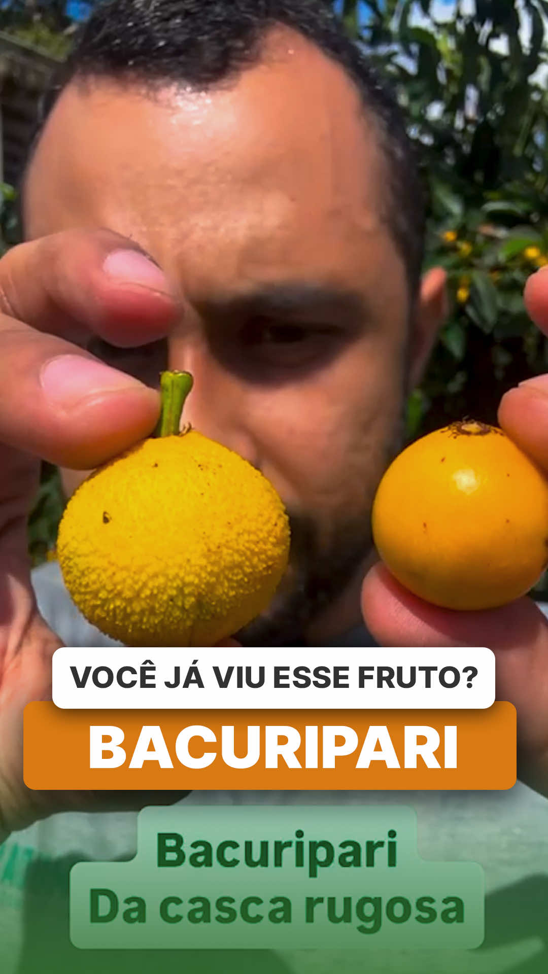 @ViveiroProMudas