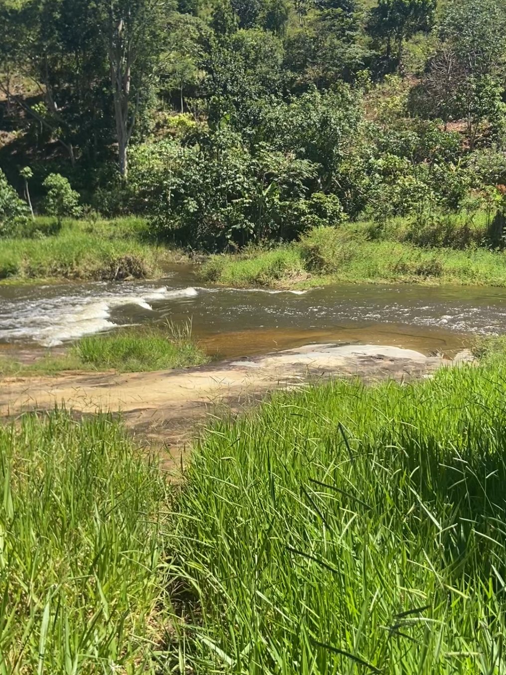 @Roça 🤠🌱