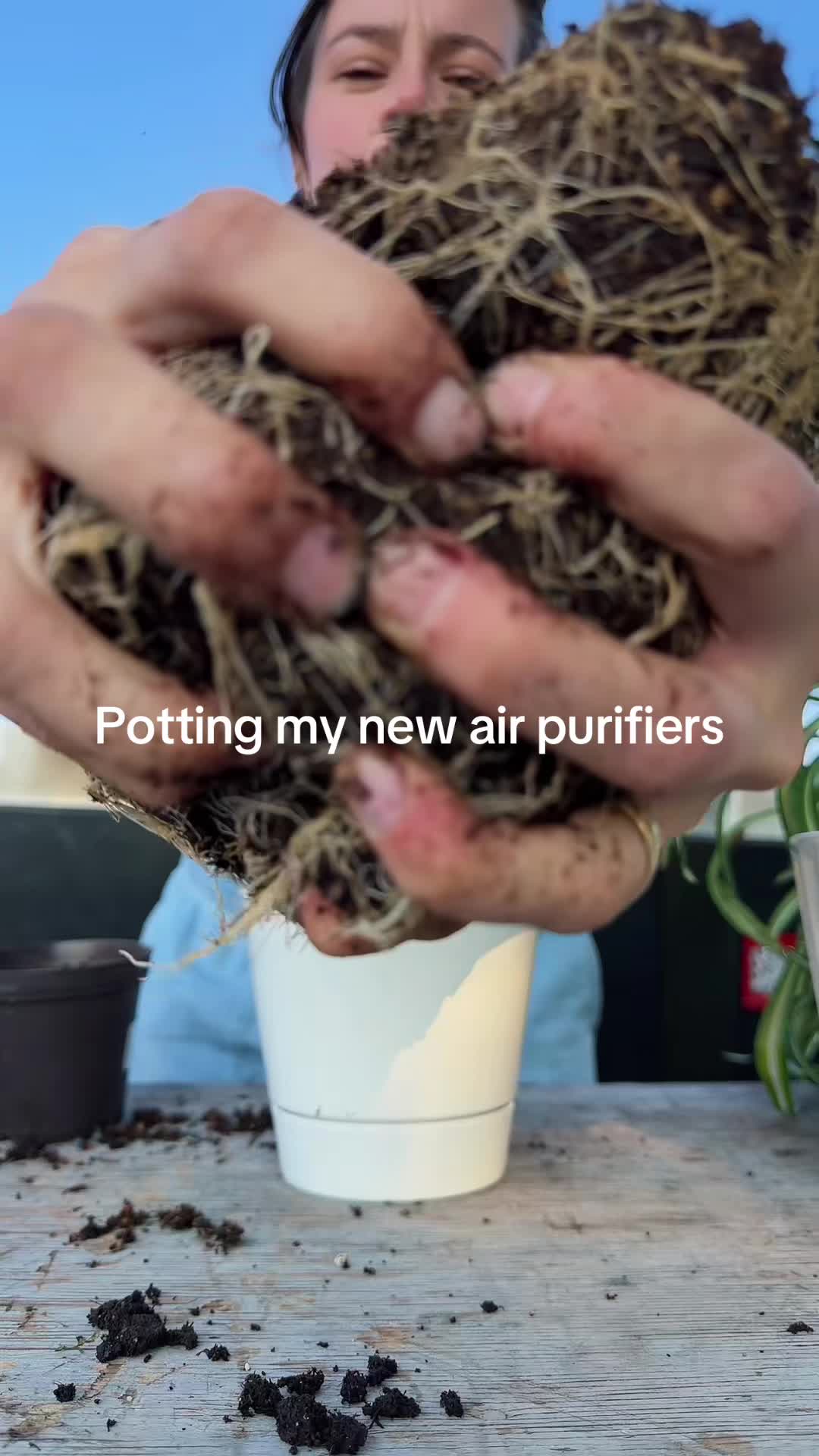 @Madelyn🦎