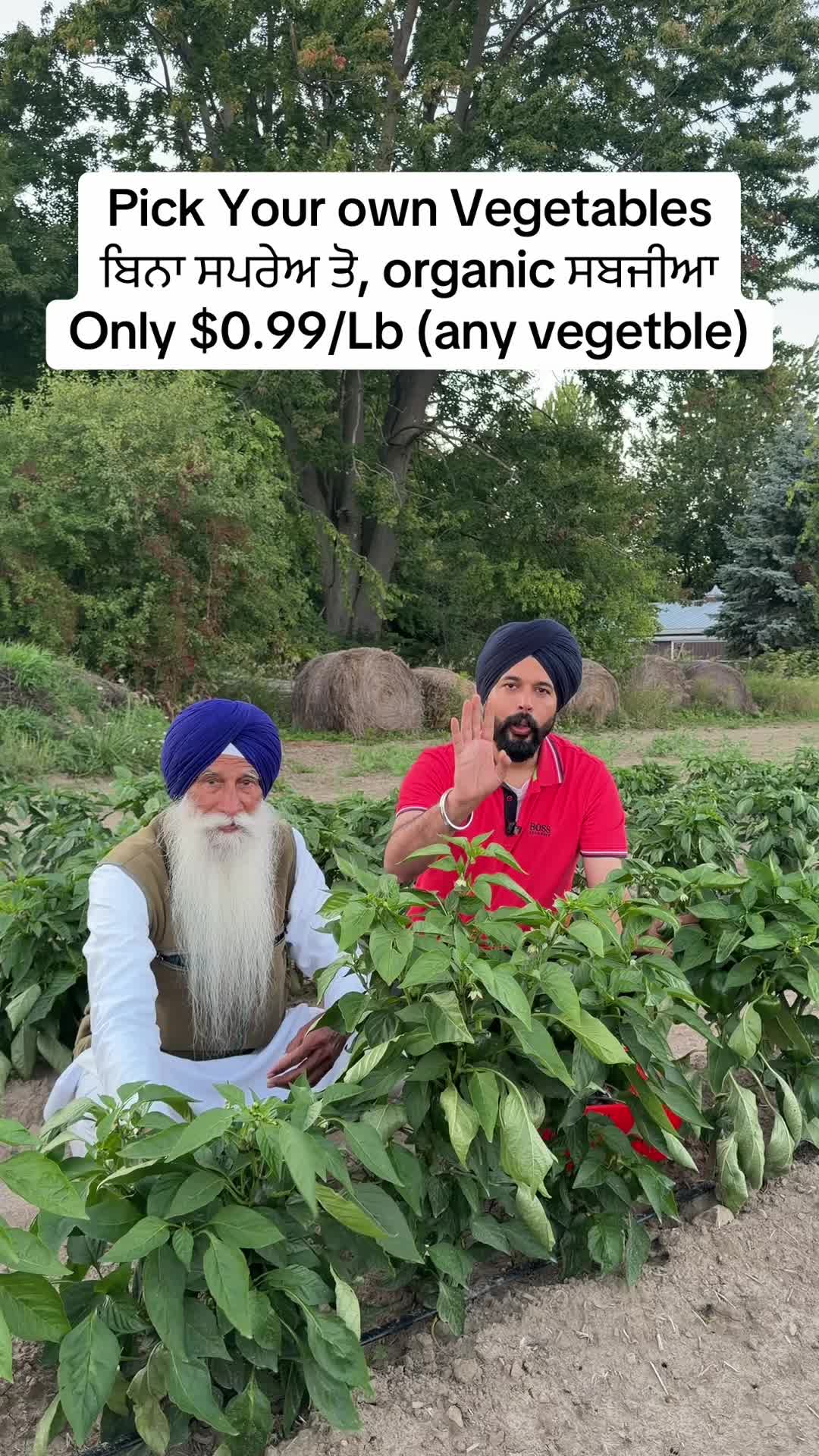 @DollarMedia