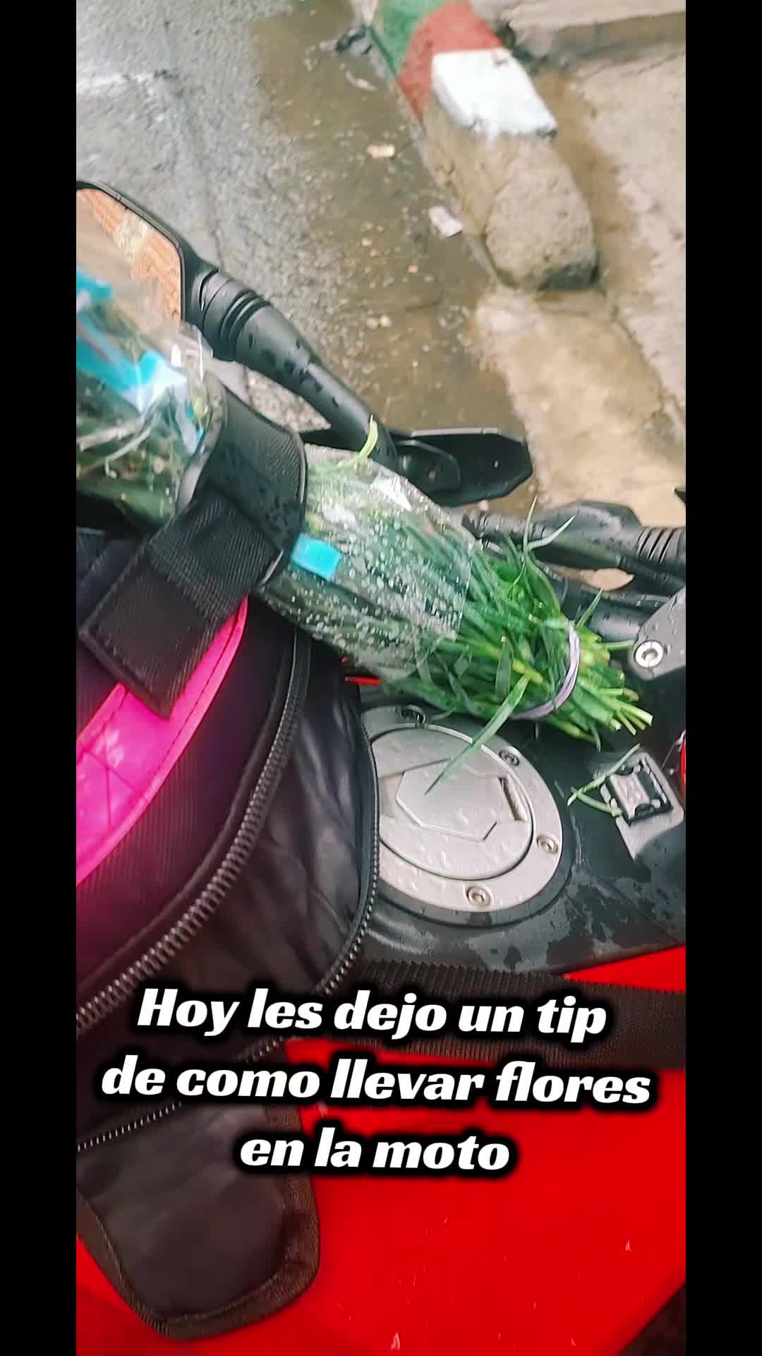@✨Andrea Hernández🌷