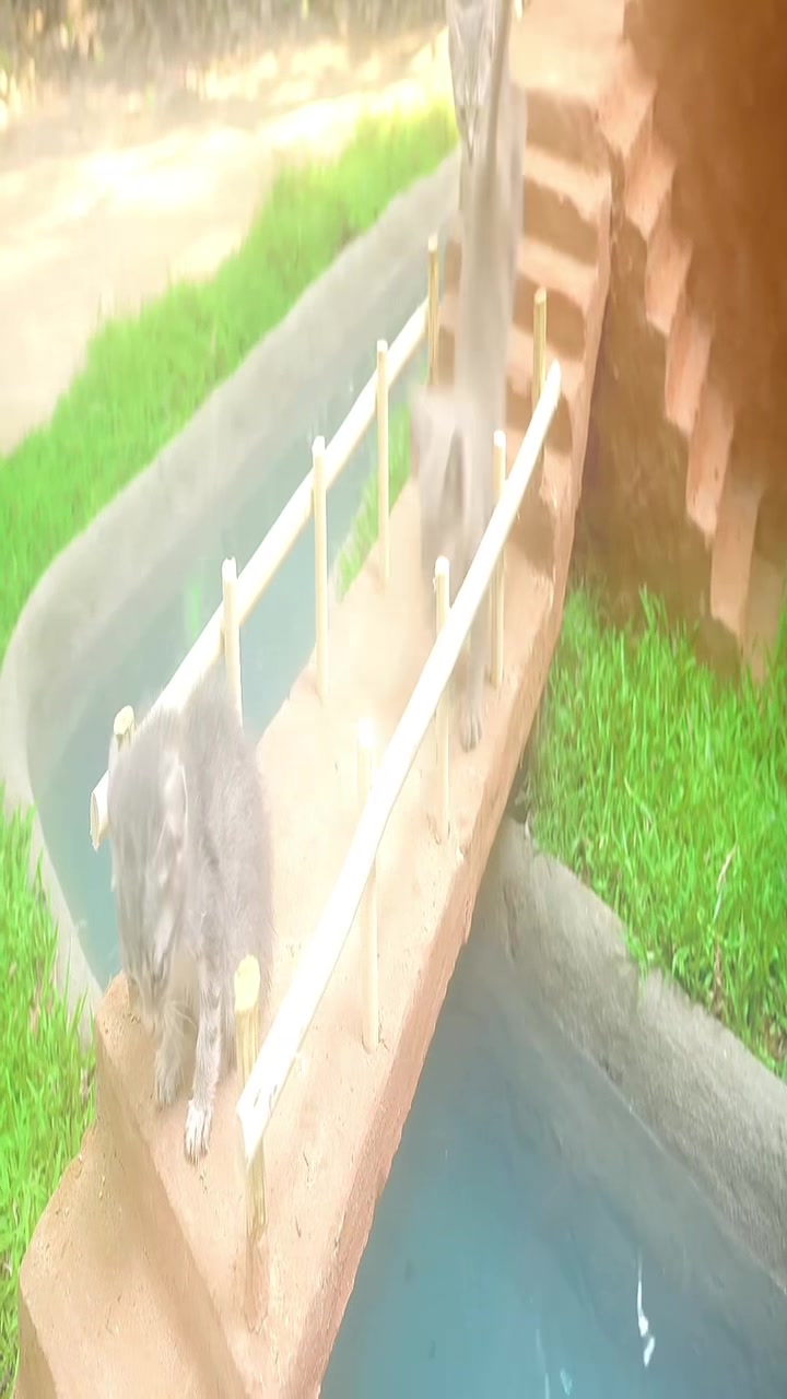 @Lyoshnka