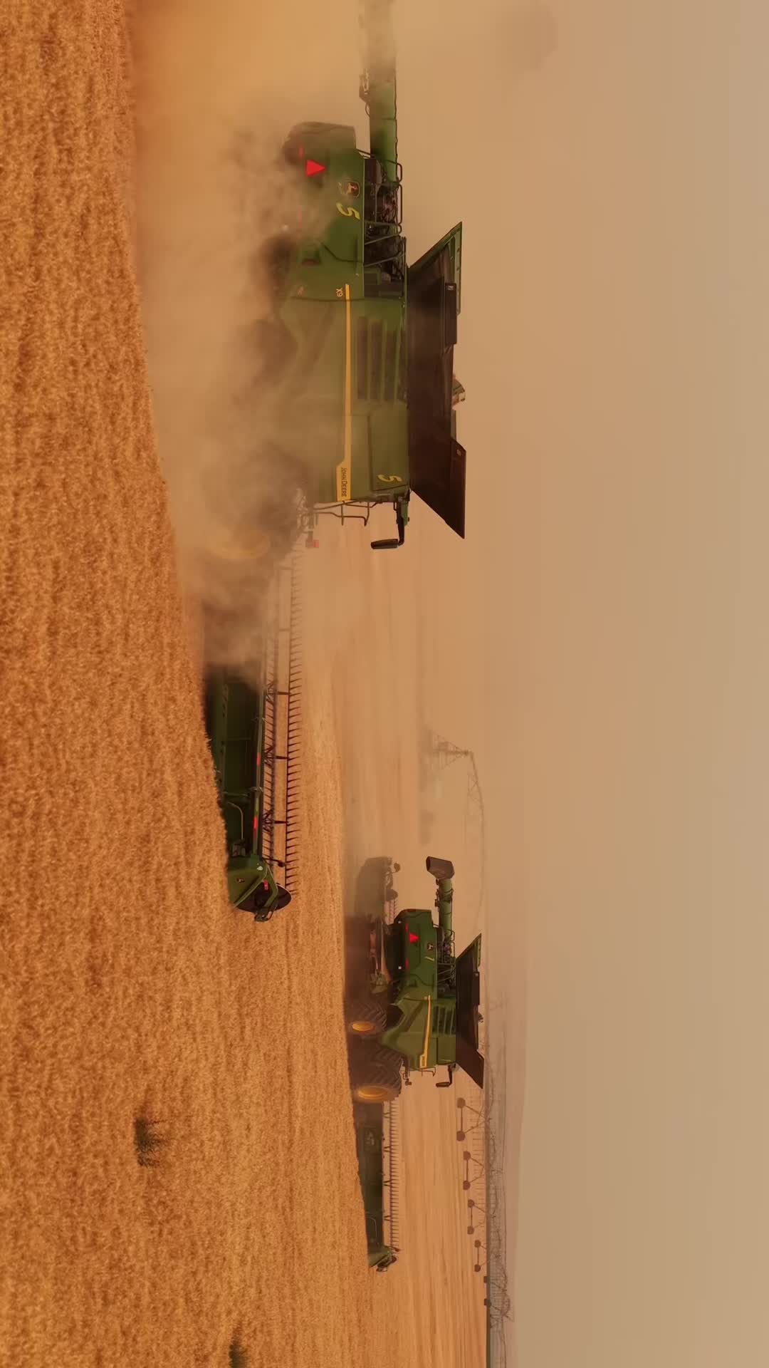 @Niels 🚜🐄