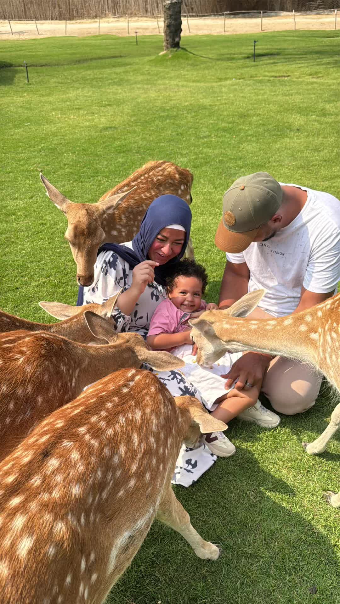 @Alaa Rezk 🦌✨♥️