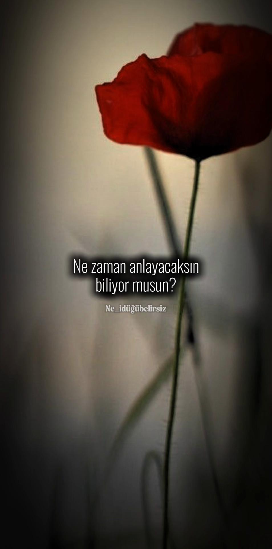 @ne_idugubelirsiz