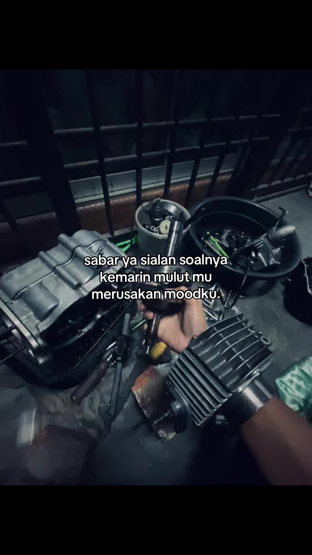 @q i b 66