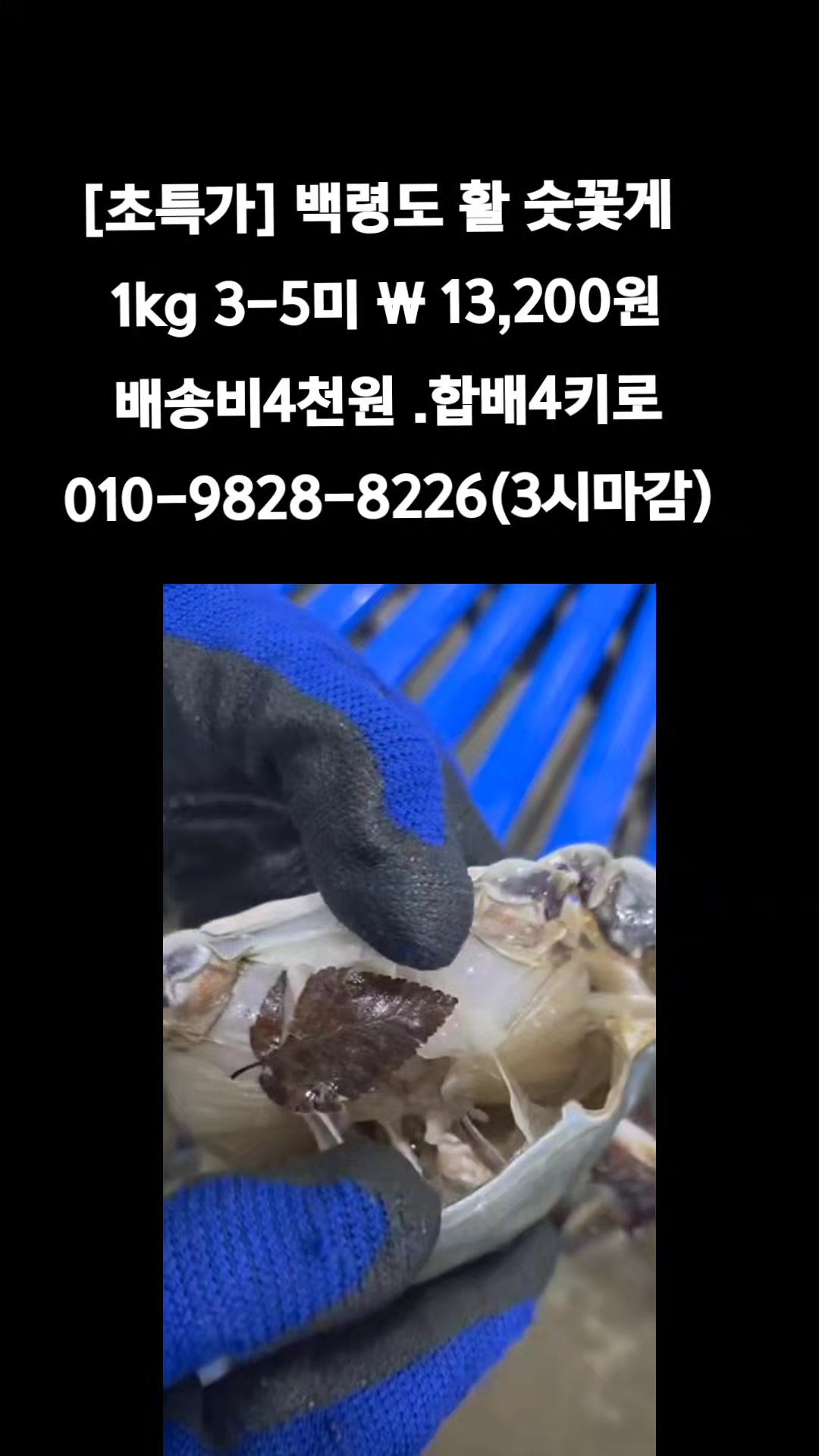 @똑손